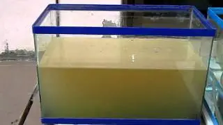 microbubble floatation
