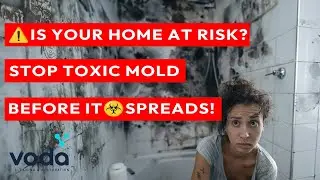 How to Check For Mold in Your House? Home Mold Remediation Services