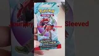 Pokemon Journey Together Sleeved Booster