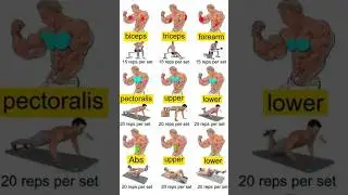 Full Body Workout at Home   Equipment | Burn Fat & 🔥 Build Muscle Fast #FullBodyWorkout #HomeWorkout