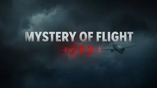 Mystery of Flight 293 Explained: The Missing Plane Case That Shocked the World ✈️ | True Story