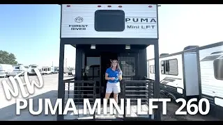 Brand New Puma Mini 260LFT with Misty Jo Primeaux RV