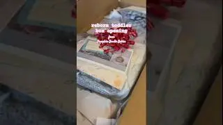 Reborn Toddler Box Opening #shorts #reborntoddler #rebornboxopening