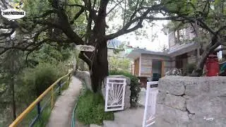 Walking Around Old Manali Clubhouse | 4K India Walks | Himachal Pradesh