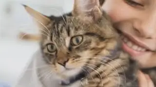 Маленькая кошка, доброе сердце, одно безопасное место