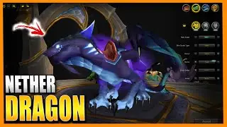 New *SECRET* Dragonriding Mount Is HERE! 'Grotto Netherwing Drake'