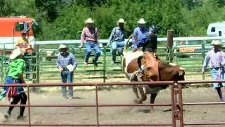 RBCO 2012