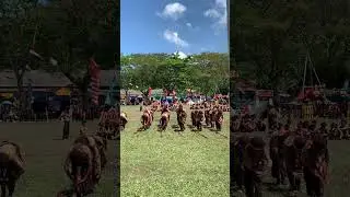 PBB Tongkat Bambu UPTD SDN 2 PUNDUH PEDADA pada acara Peringatan Hut Pram 2025