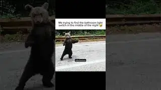 Bear With Me 🤣