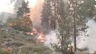 Calmer Winds Help Caldor Fire Crews