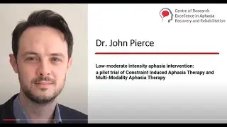 Low-moderate intensity aphasia intervention &ndash; Constraint Induced Aphasia Therapy - Dr John Pierce