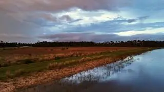 DJI Mini 4 Pro Drone Test Footage of Deer in Florida Wetlands