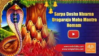 Sarpa Dosha Nivarna Uragaraja Maha Mantra Homam | Naga Panchami | Blessings of Naga