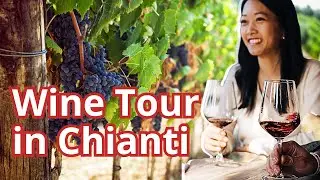 Wine Tasting Experience from Florence | Sightseeing Experience Tours in Chianti