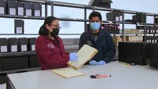 Organización documental