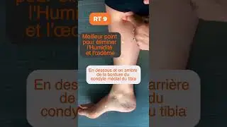 Points d' acupuncture Rate 6 &agrave; 9 en m&eacute;decine chinoise   #medecinechinoise