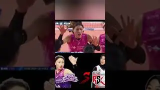 Red Sparks Dominates! Highlights: Red Sparks 3 - 1 Pink Spider | Korean Women's Volleyball League