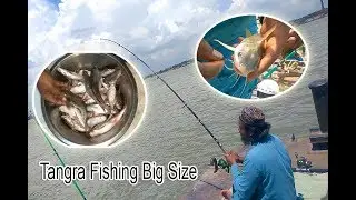 Tangra Fishing Big Tangra Fishing