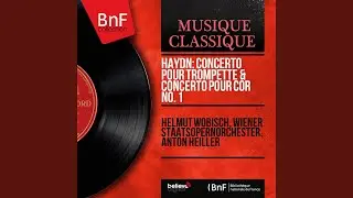 Horn Concerto No. 1 in D Major, Hob. VIId:3: II. Adagio