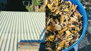 HOW to clean the roof from leaves 🍂 #how #clean #cleaning #cleaner #roof #leaves #vacuumcleaner 