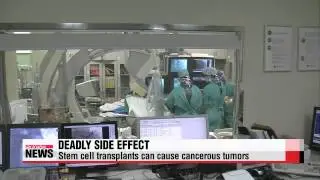 Local scientists find answer to stem cell side effect   줄기세포 치료제가 암 유발 논란 ... 근본