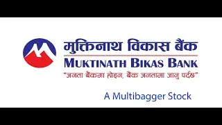 Can MNBBL be your next multibagger stock