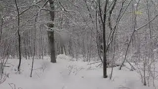 sneeuwpret 2026