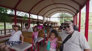 Rainforest Hayride at Carabal&iacute; - Puerto Rico