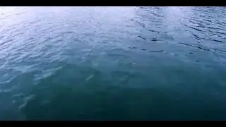 30 MINUTES OF 🎓 STUDY FOCUS MUSIC ♬ AMBIENT WATER RIPPLES