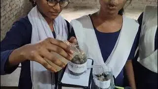 Water filter system #education #school #innovation #vikshitbharat #science 