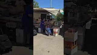 Mola di Bari Saturday market
