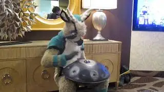 BLFC 2016 - Musician