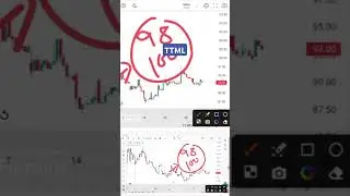 TTML share latest news l TTML share latest analysis l ttml share latest update I TTML today Target