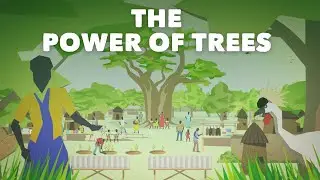 The power of trees in Africa