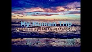 My Human Trip