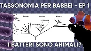 I BATTERI SONO ANIMALI? - Tassonomia per babbei ep1