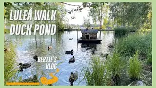 Lule&aring; walk: Duck pond in Lule&aring; | Sweden walk | Vlog