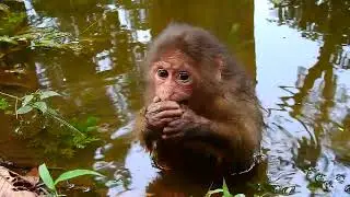 Don't watch me, I'm shy!