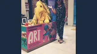 Sentosa Adventure Snaps/Sentosa Island Singapore