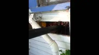 Best bee removal company San Antonio tx 2109098858