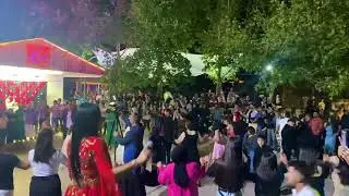 BİNGÖL KIĞI DÜĞÜNÜ-ORTALIK YIKILIYOR
