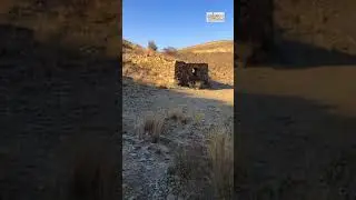 قصيدة البدع للشاعر سفر بن حبيش المالك موجهه الى قبيلته قبيلة القاسم