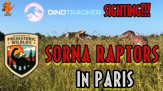 Dinotracker : SORNA RAPTORS IN PARIS!!!