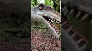 Prehistoric World with Nigel Marven: Triassic #animals #wildlif #dinosaur #postosuchus