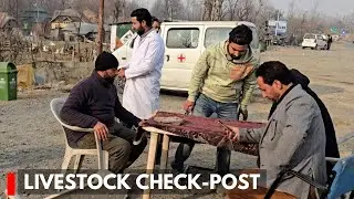 Livestock Check-Post Enforces Mandatory Physical Examination for Poultry and Cattle