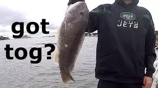 2018 Fall Blackfish/Tautog!