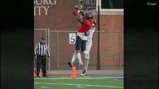 Mike Brewer career highlights Safety/Rover