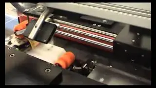 Fischer Labeling