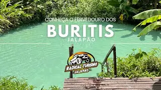 Conhe&ccedil;a o Fervedouro dos Buritis - Jalap&atilde;o