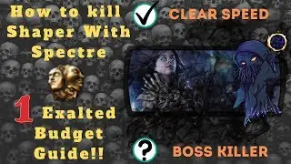Path of Exile [3.8] How to Kill Shaper With Spectre, 1 Exalted Budget!
